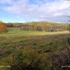 img_20251026_090411