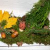 img_20251028_16015163